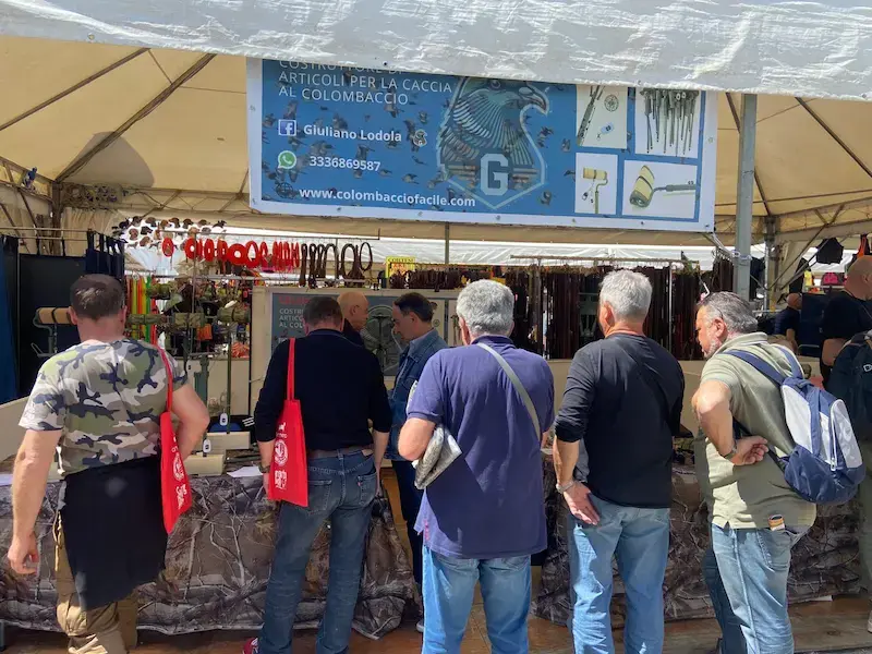 Colombaccio Facile alla fiera Caccia Village