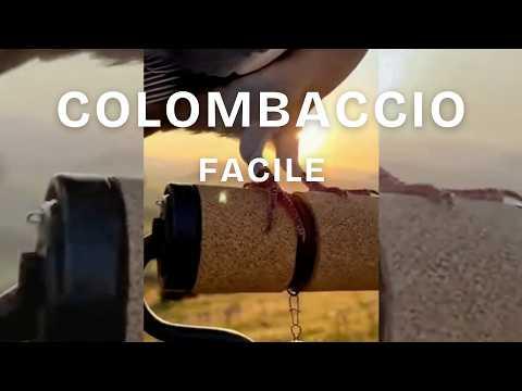 Colombaccio Facile